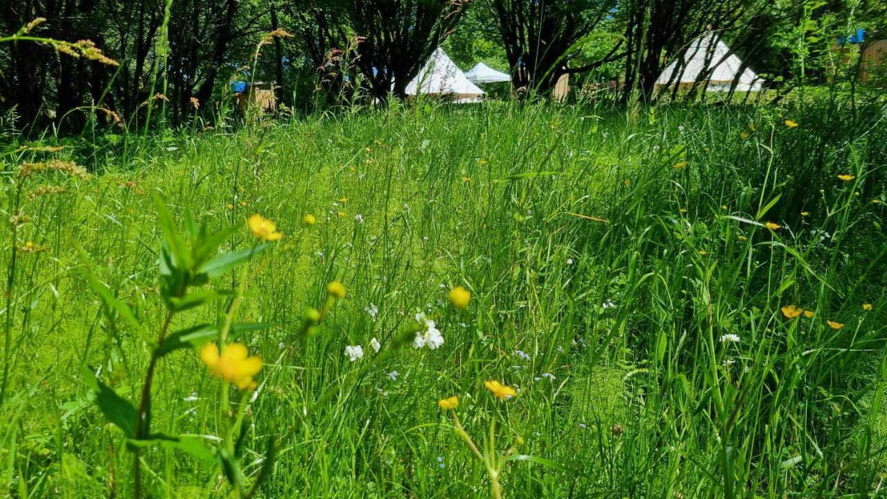 Route 47 Glamping Bell Tents Cross Hands Kültér fotó